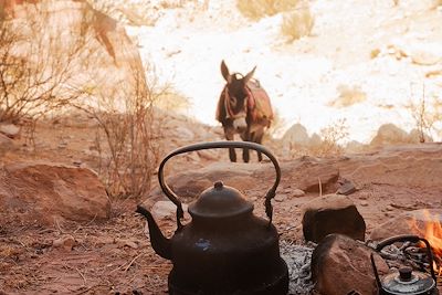 © Delphine Sinanian pour Terres d'Aventure - Pause thé - Wadi Sabrah Pause thé - Wadi Sabrah