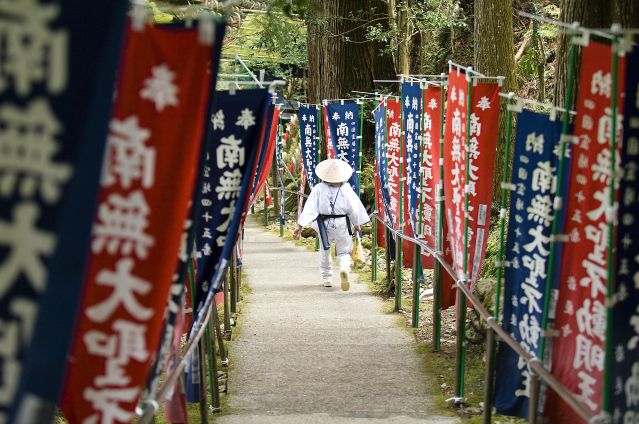 Voyage Shikoku, sentiers du pèlerinage des 88 temples
