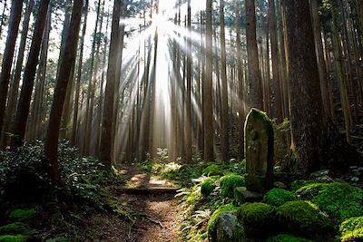 Voyage Randonnée au cœur du Japon ancestral 1