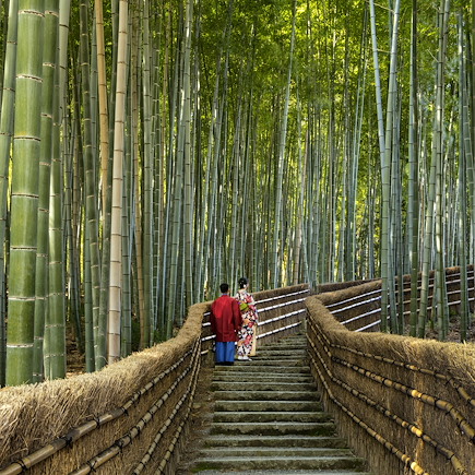 De Kyoto à Tokyo par la route des montagnes