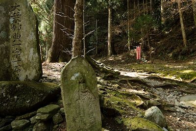 © Christophe Migeon - Temple n°45 Iwaya-ji - temple de la Grotte rocheuse - île de Shikoku - Japon Temple n°45 Iwaya-ji - temple de la Grotte rocheuse - île de Shikoku - Japon