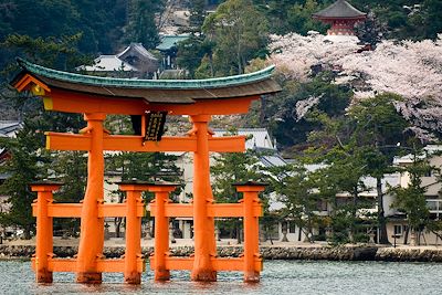 Torii flottant - île de Miyajima - Japon