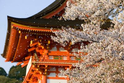 Temple Kiyomizu-Dera - Kyoto - Japon