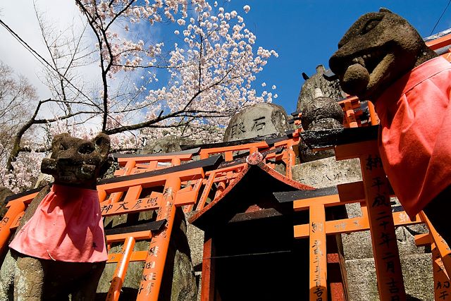 Découverte Japon