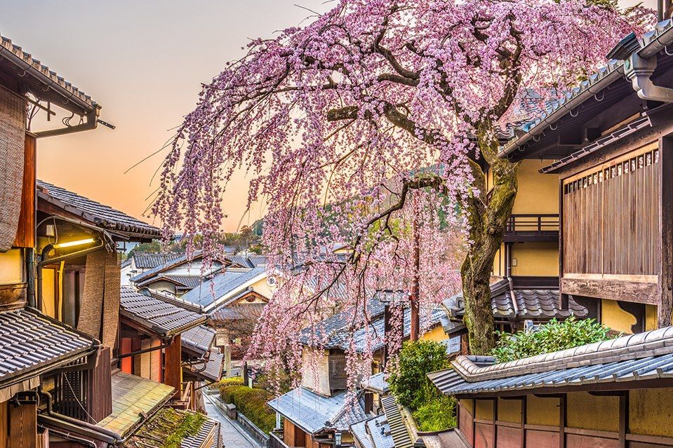 Voyage Découverte du Japon, de Tokyo à Kyoto