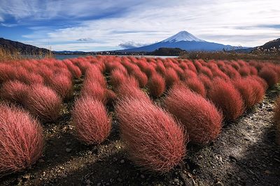 Mont Fuji - Japon