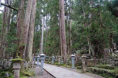 © Océane Martinez - Mont Koya - Japon Mont Koya - Japon