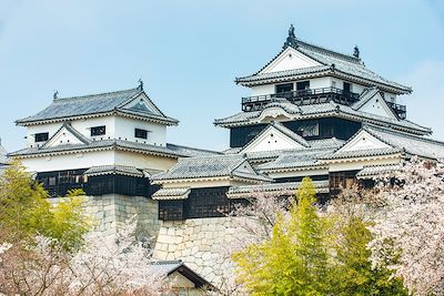 Château de Matsuyama - Shikoku - Japon