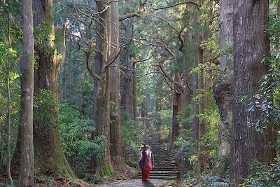 Sentier du pèlerinage de Kumano Kodo - Japon