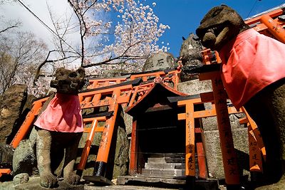 Inari, le renard - torii - sanctuaire de Fushimi Inari - Kyoto - île de Honshu - Japon