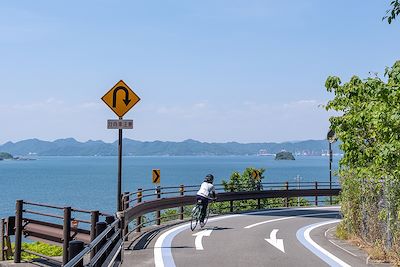 Voyage Le Japon à vélo et en train, de Tokyo à Kyoto 3