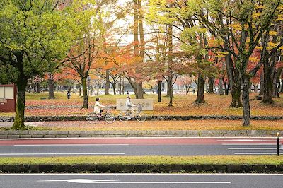 Le Japon à vélo et en train, de Tokyo à Kyoto