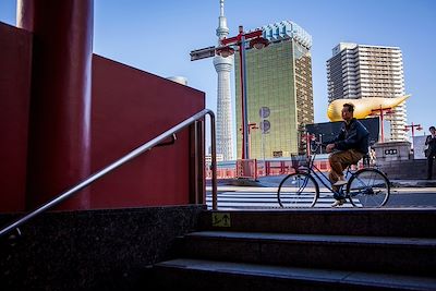 © Little valleys / Alamy / Hemis - Tokyo - Japon Tokyo - Japon