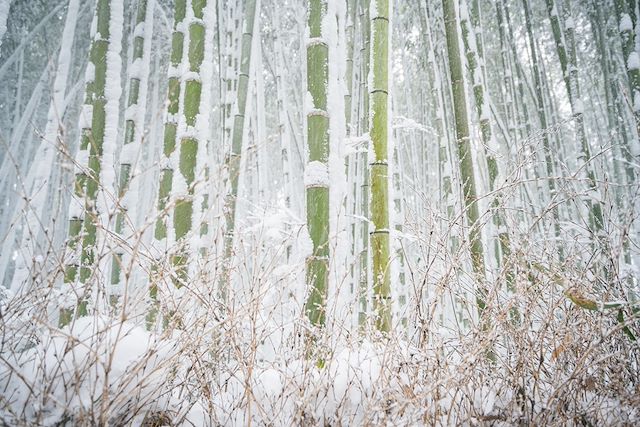 Voyage Des neiges d'Hokkaido aux temples de Kyoto