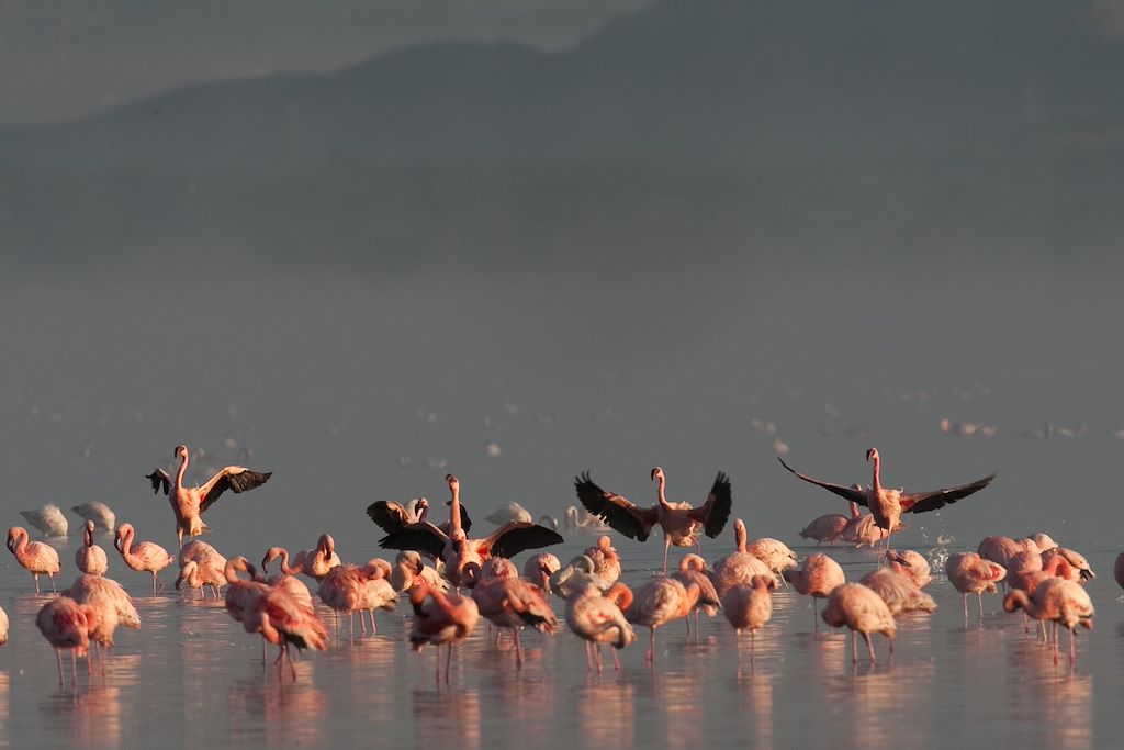 Voyage Karibu Kenya ! 3