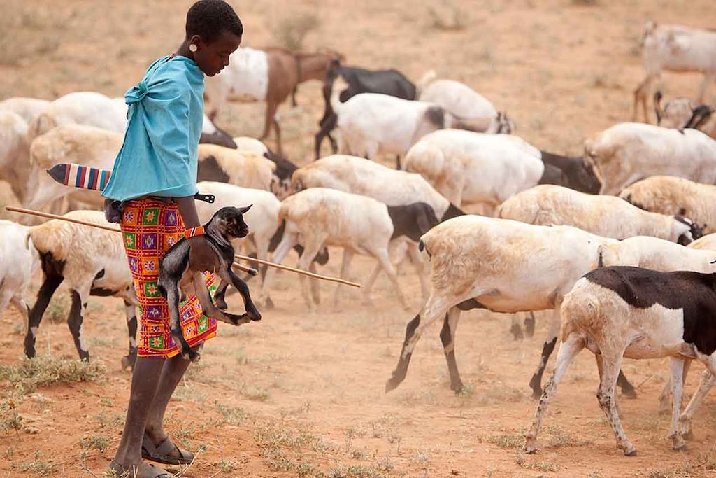Voyage Karibu Kenya ! 2