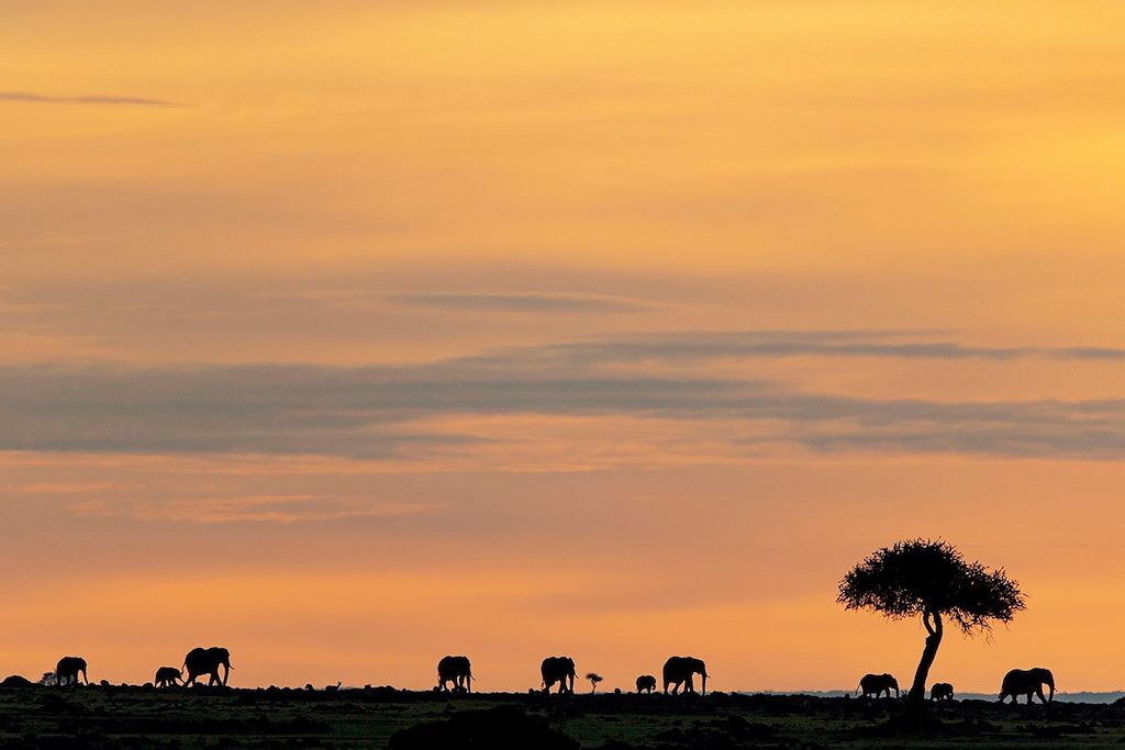 Safari dans la vallée du Rift