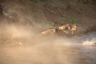 © Michel Laplace-Toulouse - Réserve du Massai Mara - Vallée du Rift - Kenya Réserve du Massai Mara - Vallée du Rift - Kenya
