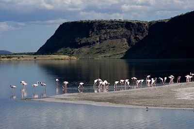 Lac Magadi - Vallée du Rift - Vallée du Rift - Kenya