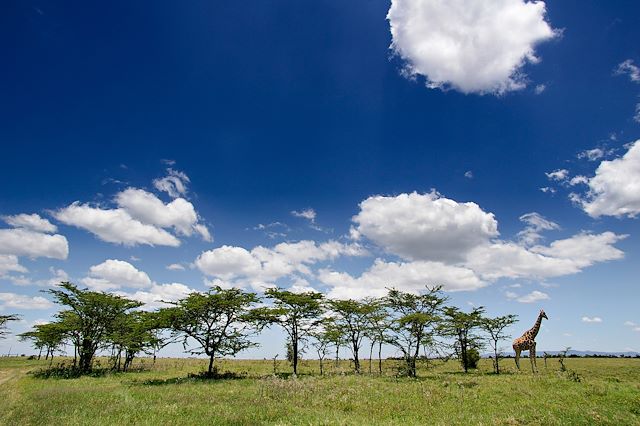 Voyage Le Kenya confidentiel à pied