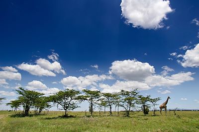 Kenya : Circuits accompagnés