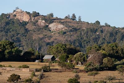 Lolldaiga - Plateau du Laikipia - Kenya