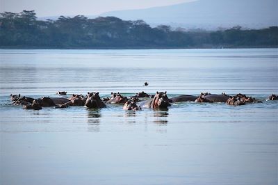 Safari Région des lacs du Kenya