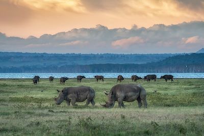 Voyage Région des lacs du Kenya