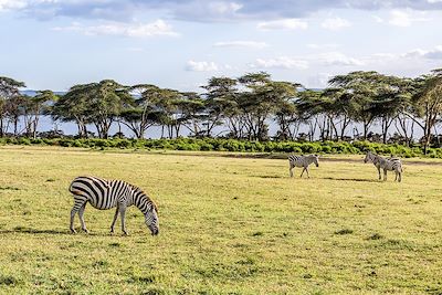 Voyage Brousse et Savane Kenya