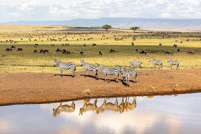 Réserve nationale du Masai Mara - Kenya