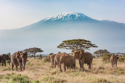 Voyage  Région des lacs du Kenya