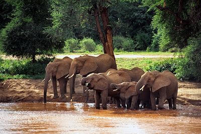 © Kenya Tourist Board OT - Samburu - Kenya Samburu - Kenya