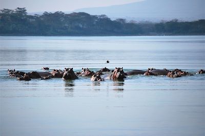 Voyage  Région des lacs du Kenya