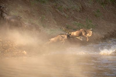 Réserve du Massai Mara - Vallée du Rift - Kenya