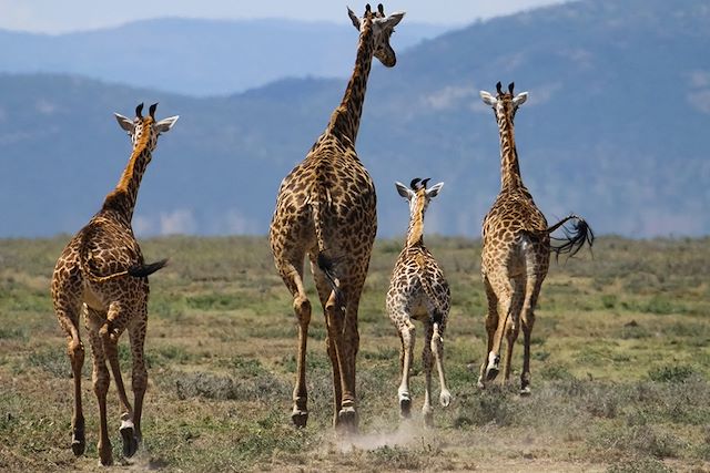 Voyage Au pays des danses masaïs