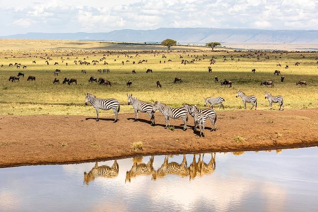 Safari Kenya Masaï Mara