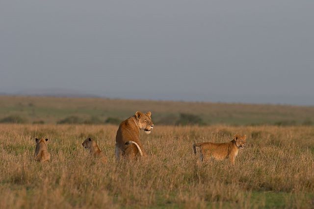 Randonnée Kenya Masaï Mara