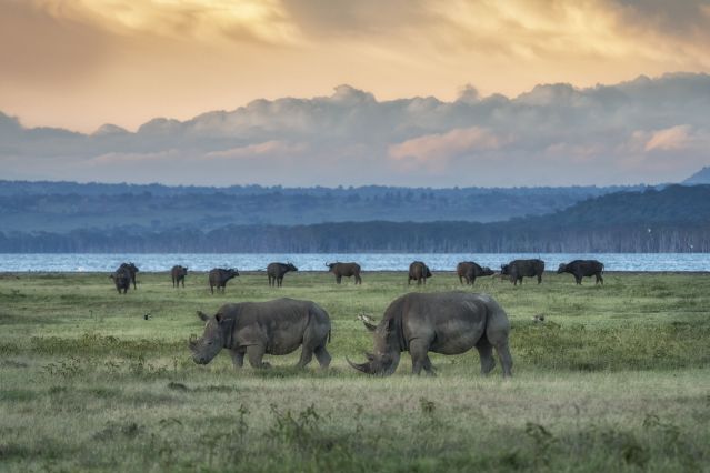 Voyage Safari dans la vallée du Rift 1