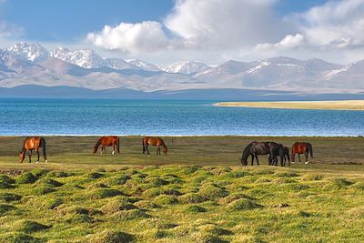 Lac de Song Kul - Kirghizistan