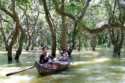 Forêt inondée Kompong Phluk près du Lac Tonlé Sap - Cambodge