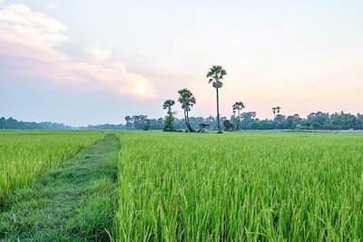 Au cœur du pays khmer