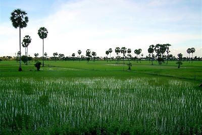 Angkor - Cambodge