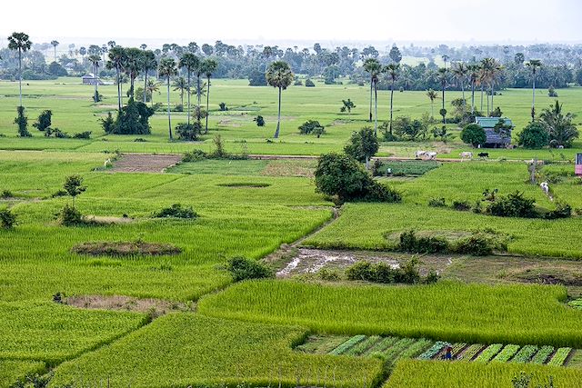 Voyage : Mondolkiri, Mékong et montagne sacrée d'Angkor Voyage Mondolkiri, Mékong et montagne sacrée d'Angkor