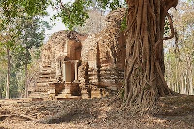 Sambor Prei Kuk - Cambodge