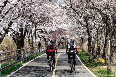 Corée du Sud en vélo électrique, de Séoul à Busan