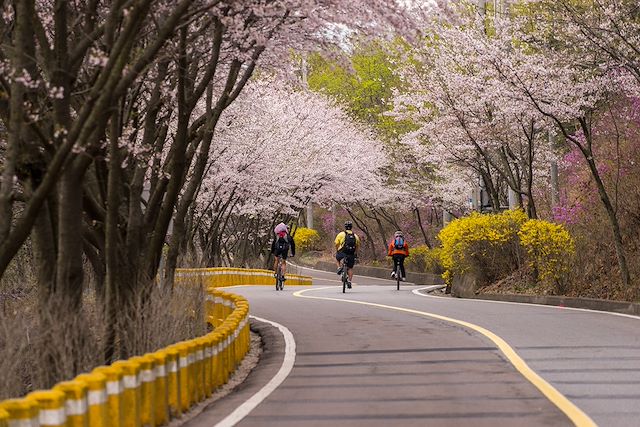 Vélo Corée du sud