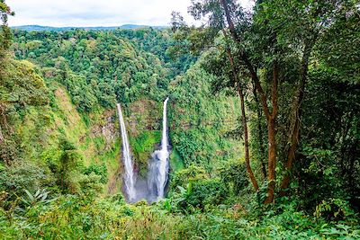 © andrii_lutsyk / Adobe Stock - Chute Tad Fan - Dong Hua Sao - Boloven - Laos Chute Tad Fan - Dong Hua Sao - Boloven - Laos