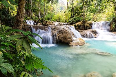 © tunach17 / Adobe Stock - Chutes de Tad Sae - Laos Chutes de Tad Sae - Laos