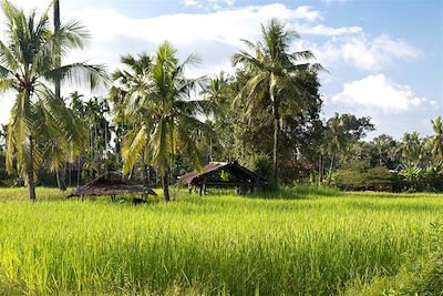 Voyage Laos et Cambodge, terres du Mékong 3