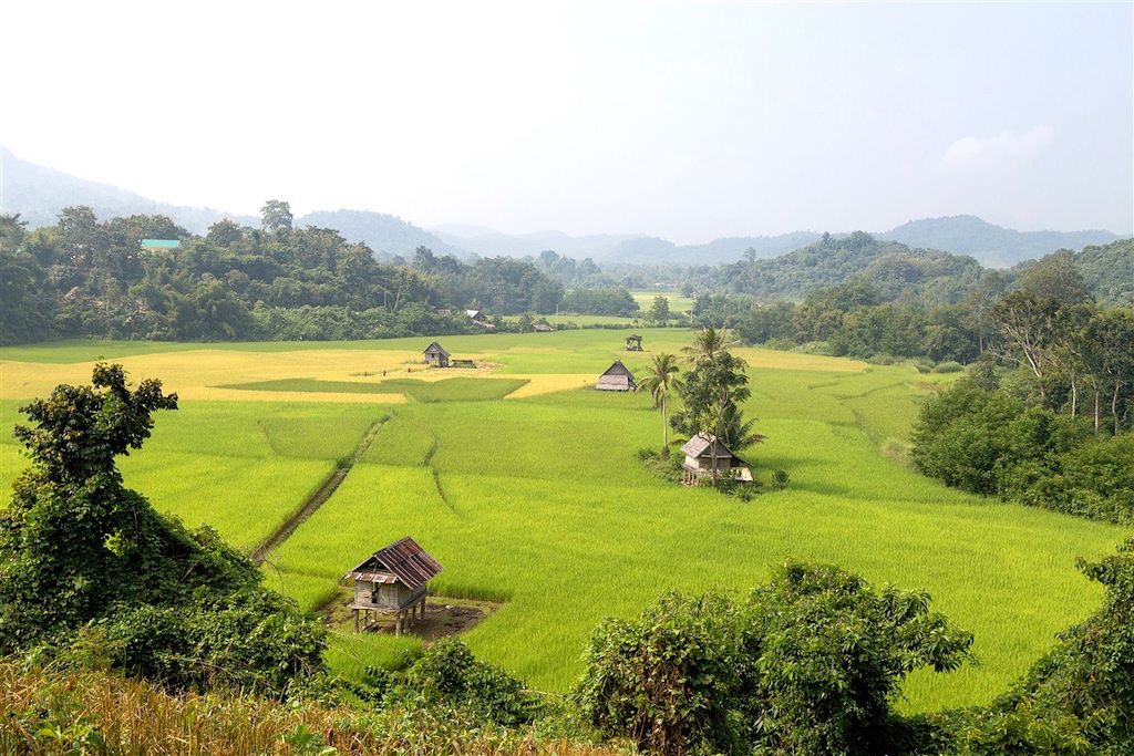 Voyage De Luang Prabang aux montagnes de Muong Ngoi  1